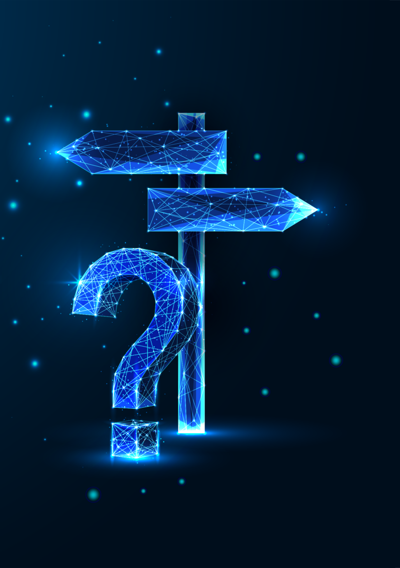 Decisions: Consulting Engagement or In-house Deployment