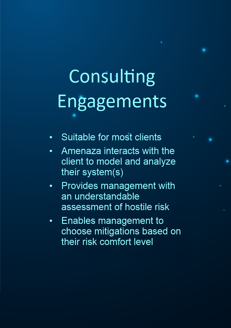 Decisions: Consulting Engagement or In-house Deployment