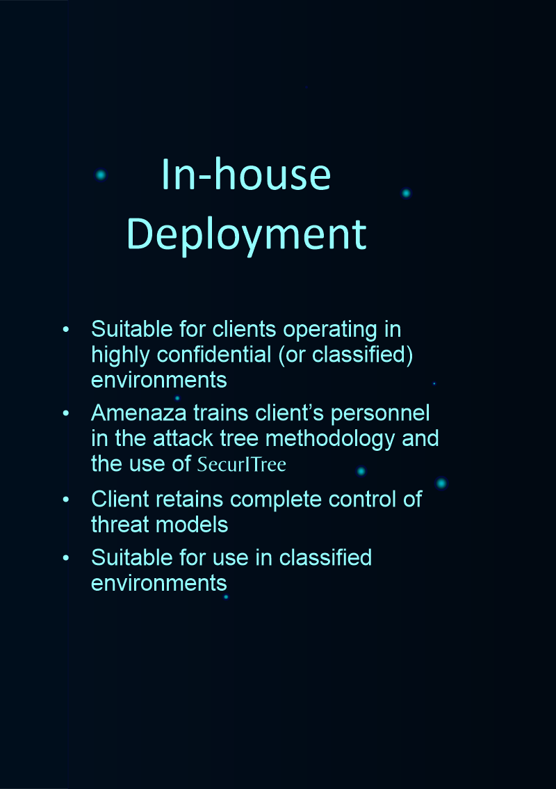 Decisions: Consulting Engagement or In-house Deployment